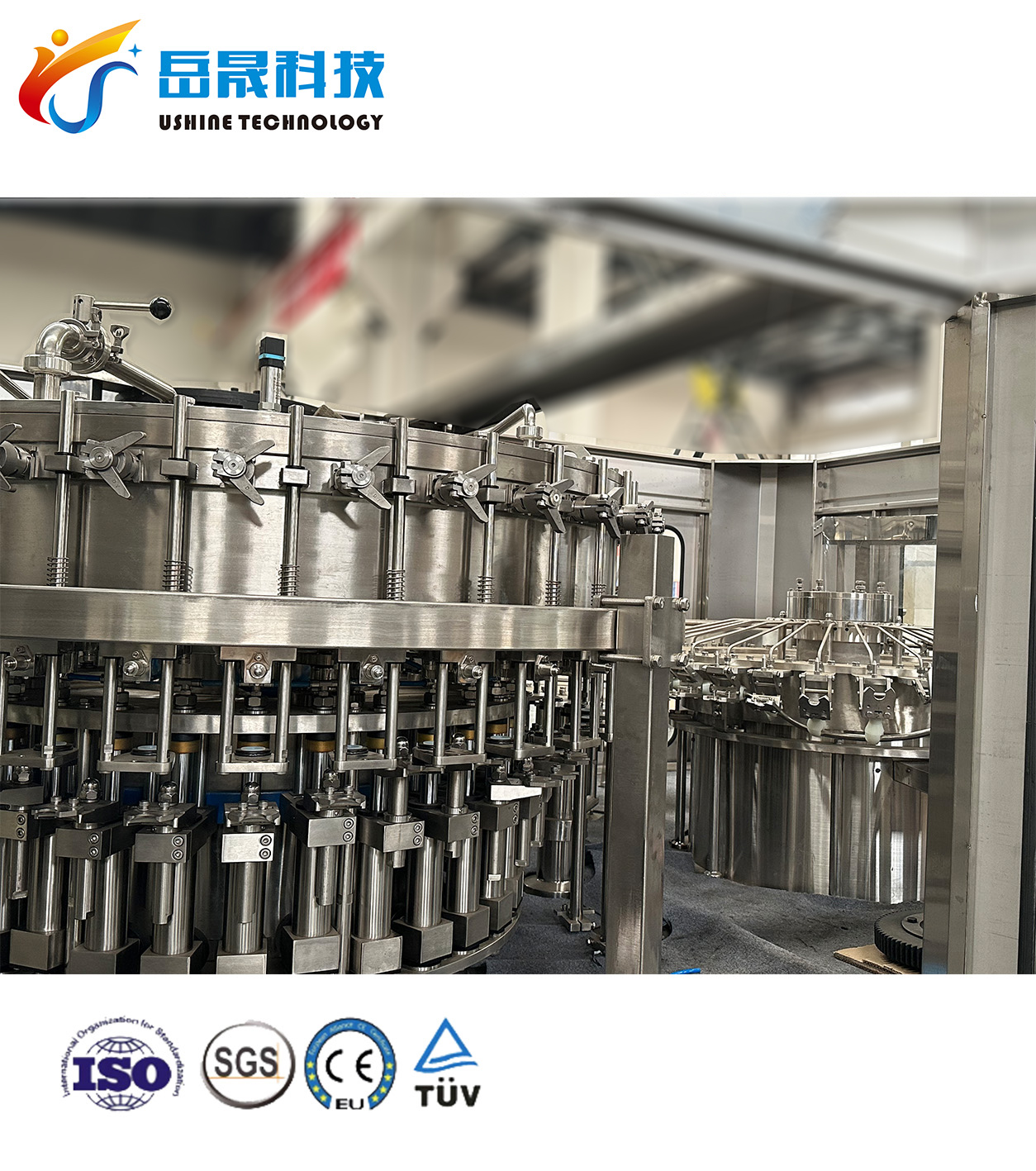 6000-8000BPH 3 in 1 Beer Glass Bottle Filling Machine (BXGF40-40-10)